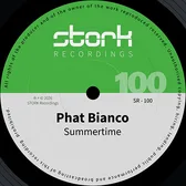 Cover art for Summertime by Phat Bianco on Stork Recordings